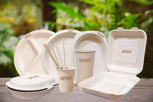 The Future of Eco-Friendly Tableware: Innovations in SustainableProducts