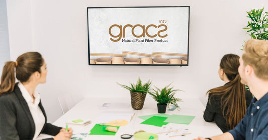 The Journey of Gracz International: From Idea to Sustainable Business Model