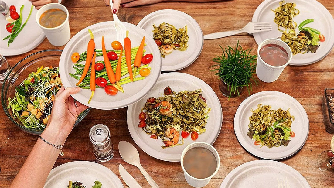 Eco-Friendly Dining: How Compostable Tableware Promotes Safe Food and Healthy Living