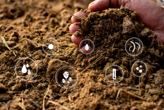 How Food Packaging Decomposes: A Look at the Journey from Waste to Soil