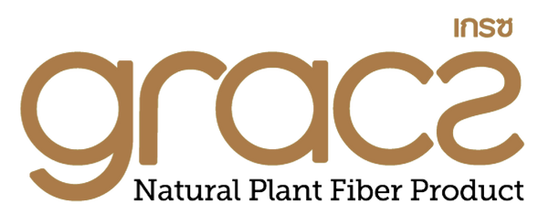 Gracz International